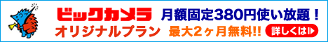 ビックカメラオリジナルプラン