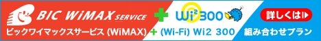 BIC Wimax Service組み合わせプラン