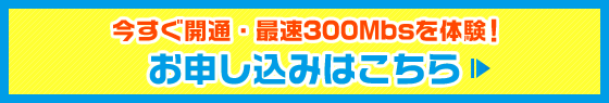 今すぐ開通・最速300Mbpsを体験！お申込みはこちら