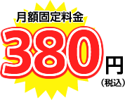 月額固定料金 380円（税込）