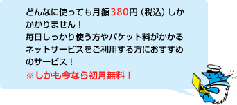 どんなに使っても月額380円（税込）しかかかりません！毎日しっかり使う方やパケット料がかかるネットサービスをご利用する方におすすめのサービス！※しかも今なら初月無料！