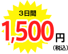 3日間 1,500円（税込）