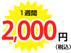 1週間 2,000円（税込）