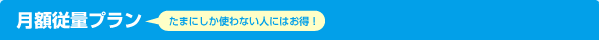 月額従量プラン (たまにしか使わない人にはお得！)